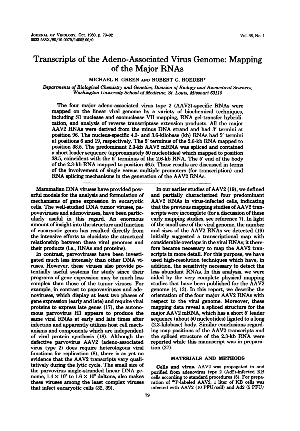 Transcripts of the Adeno-Associated Virus Genome: Mapping of the Major Rnas MICHAEL R