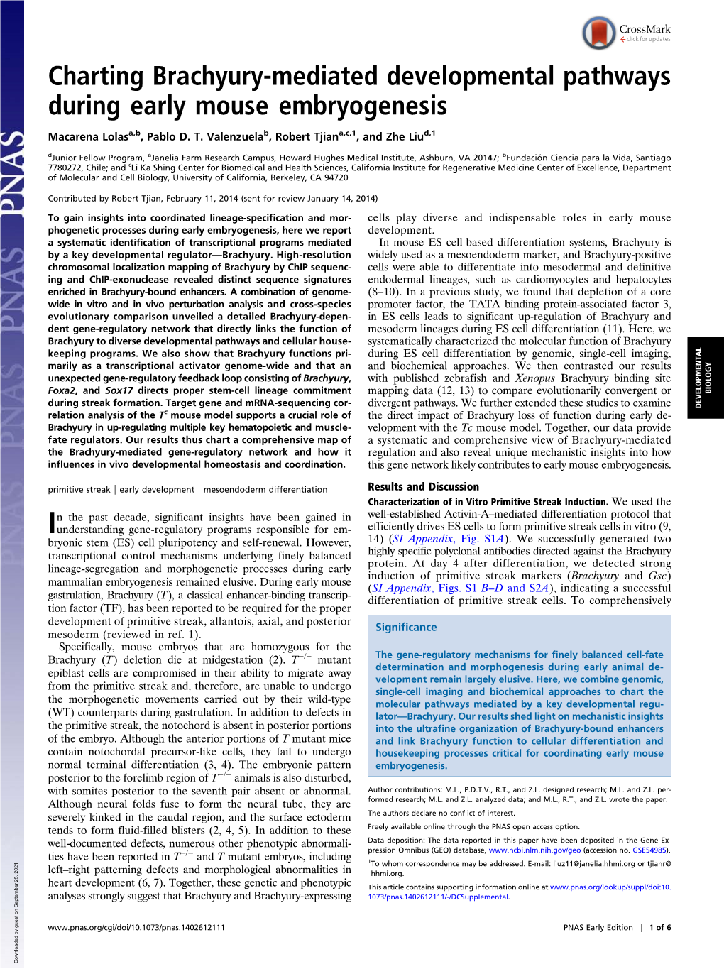 Charting Brachyury-Mediated Developmental Pathways During Early Mouse Embryogenesis