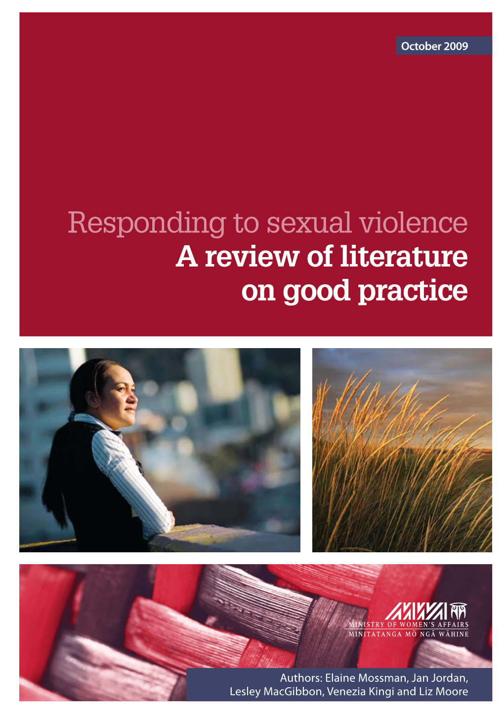 Responding to Sexual Violence: a Review of Literature on Good Practice