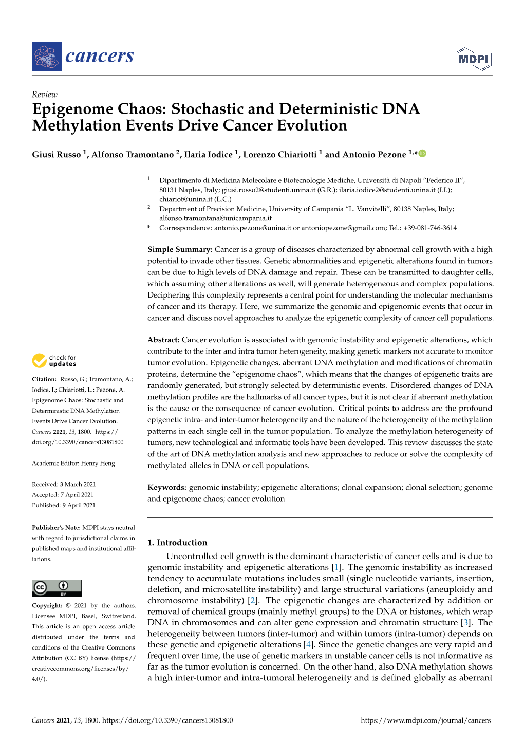 Epigenome Chaos: Stochastic and Deterministic DNA Methylation Events Drive Cancer Evolution