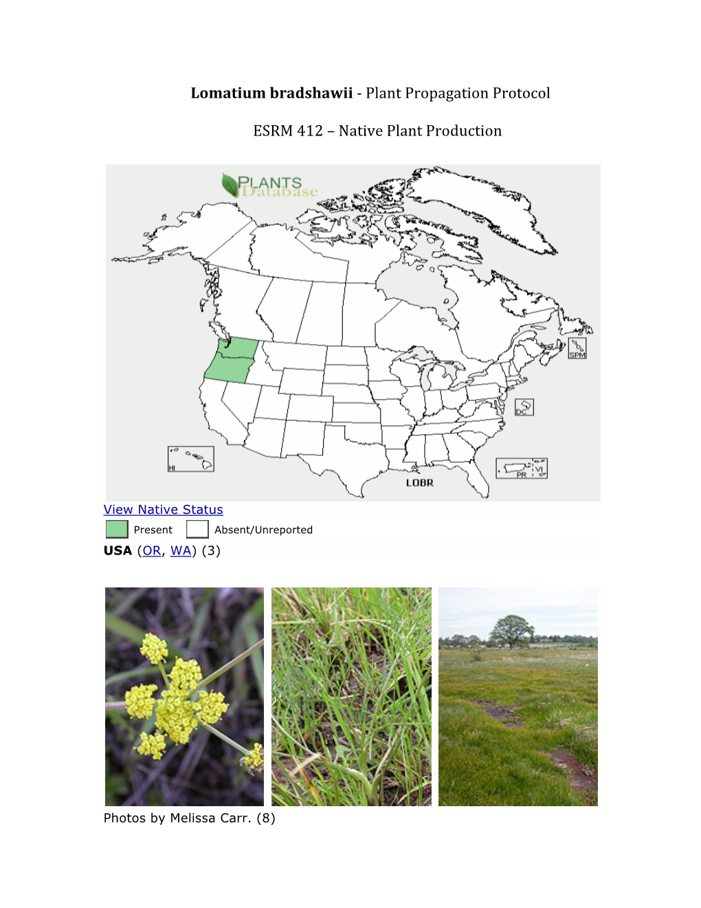 Lomatium Bradshawii -‐ Plant Propagation Protocol ESRM