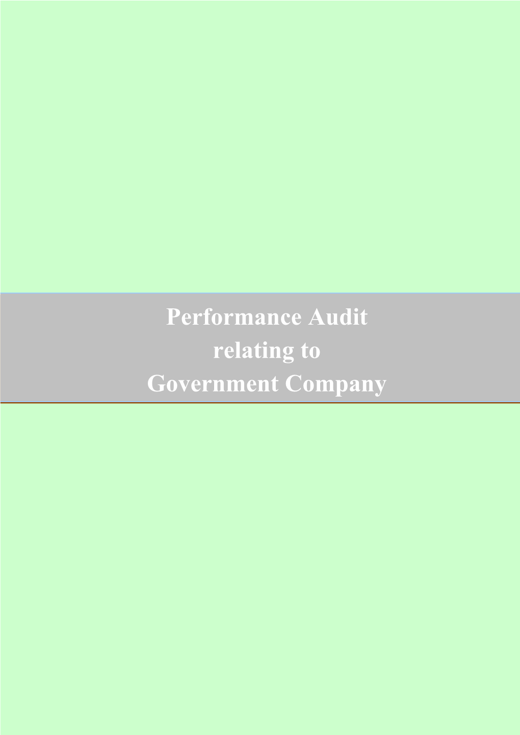 Performance Audit Relating to Government Company