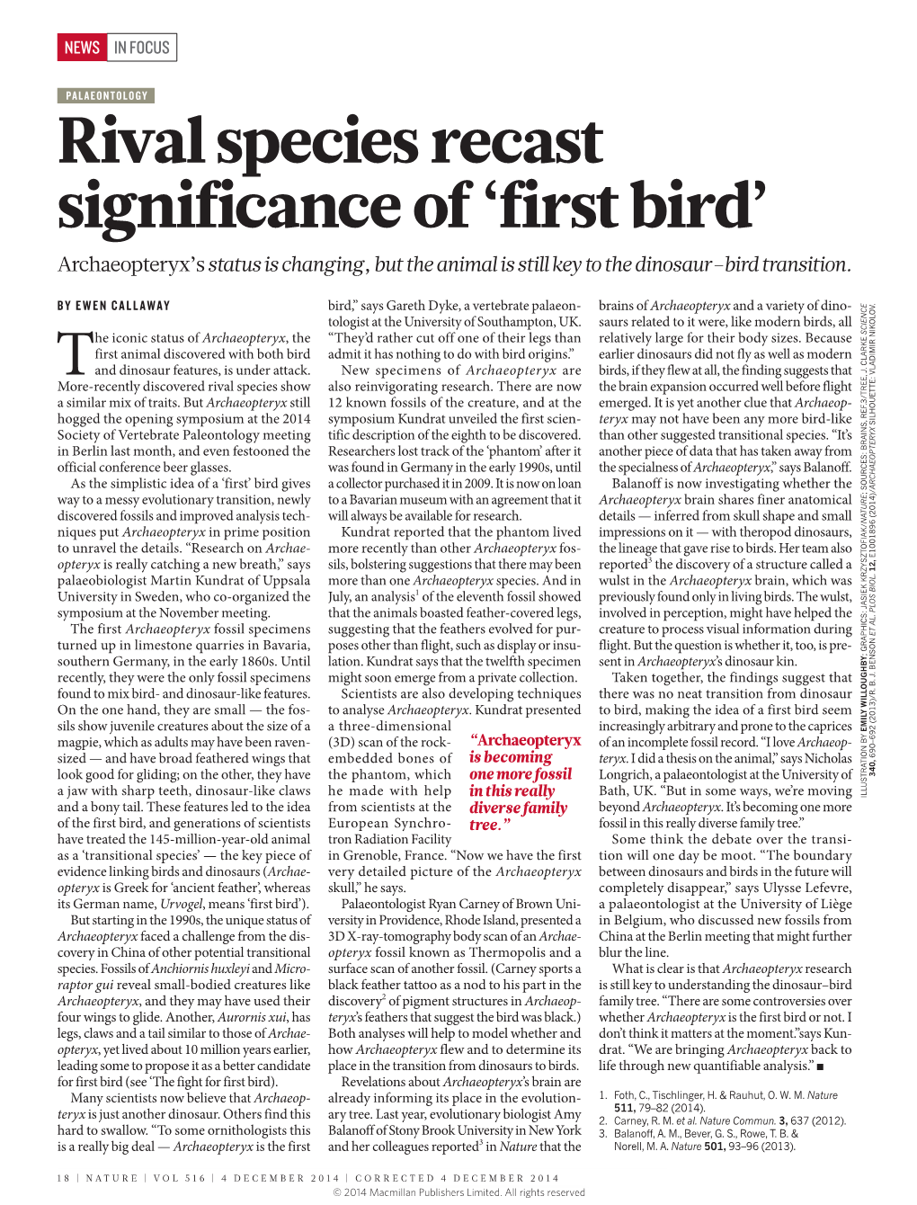 Rival Species Recast Significance of 'First Bird'