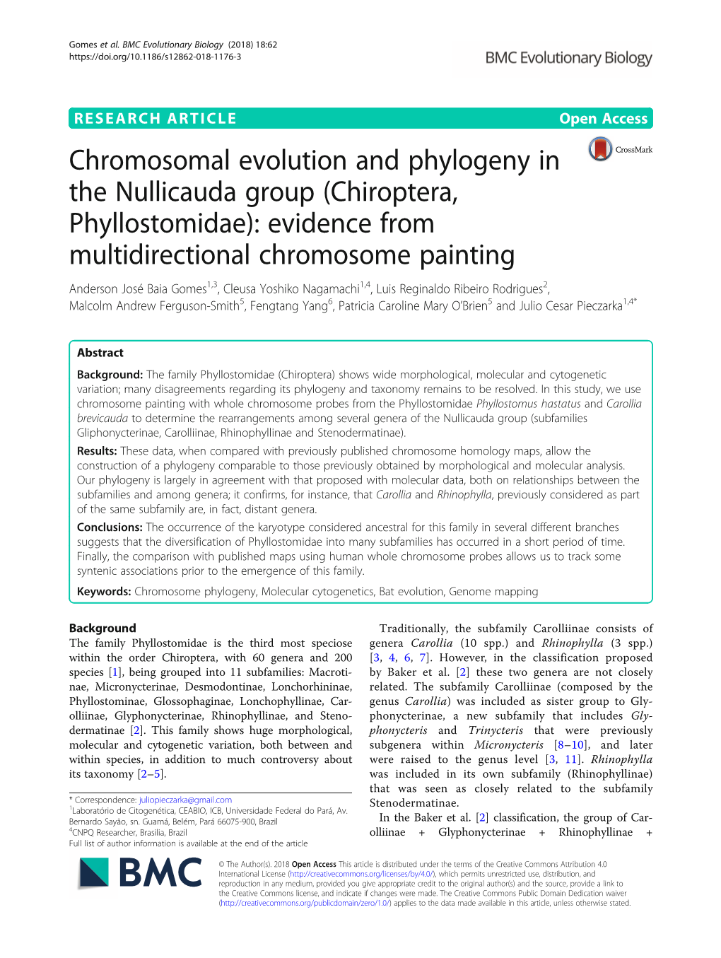 Chromosomal Evolution and Phylogeny in the Nullicauda Group