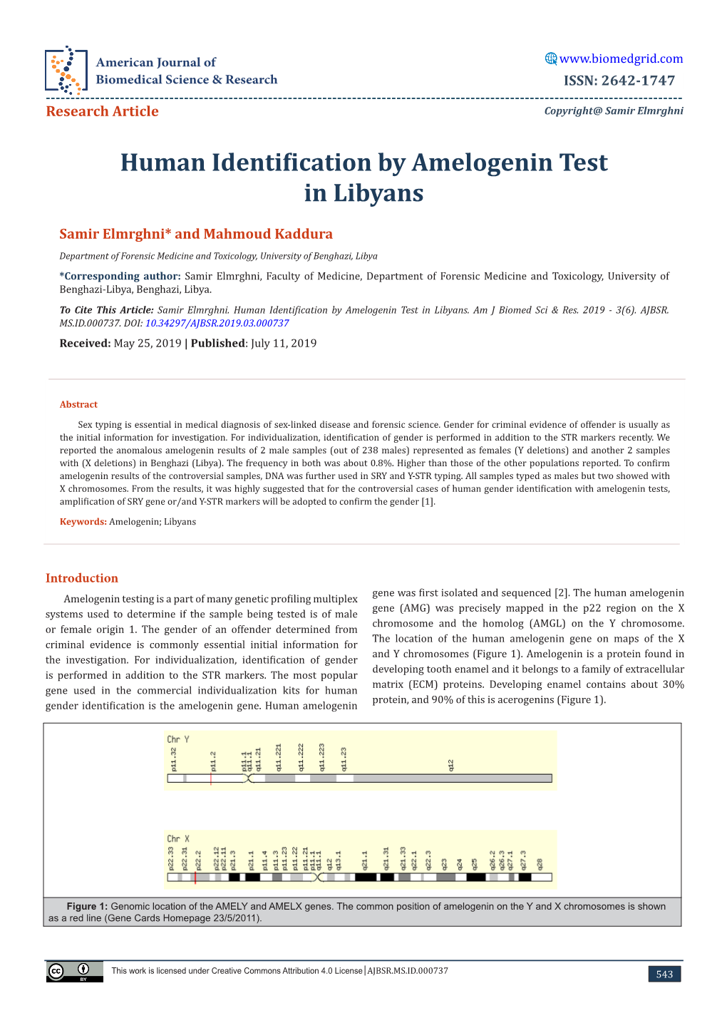 Human Identification by Amelogenin Test in Libyans
