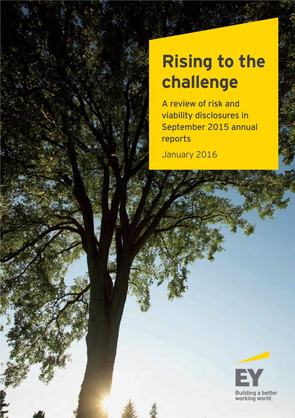 Rising to the Challenge a Review of Risk and Viability Disclosures in September 2015 Annual Reports January 2016 Contents
