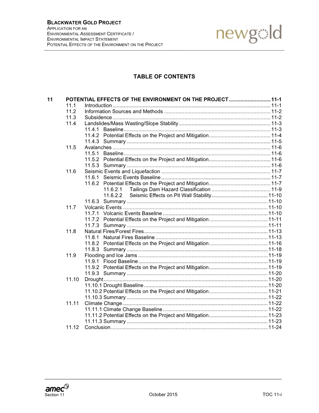 AMEC Report Template