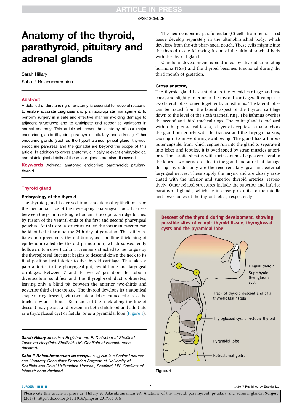 Anatomy of the Thyroid, Parathyroid, Pituitary and Adrenal Glands, Surgery (2017), BASIC SCIENCE