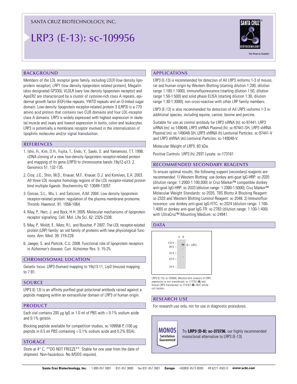 Datasheet Blank Template