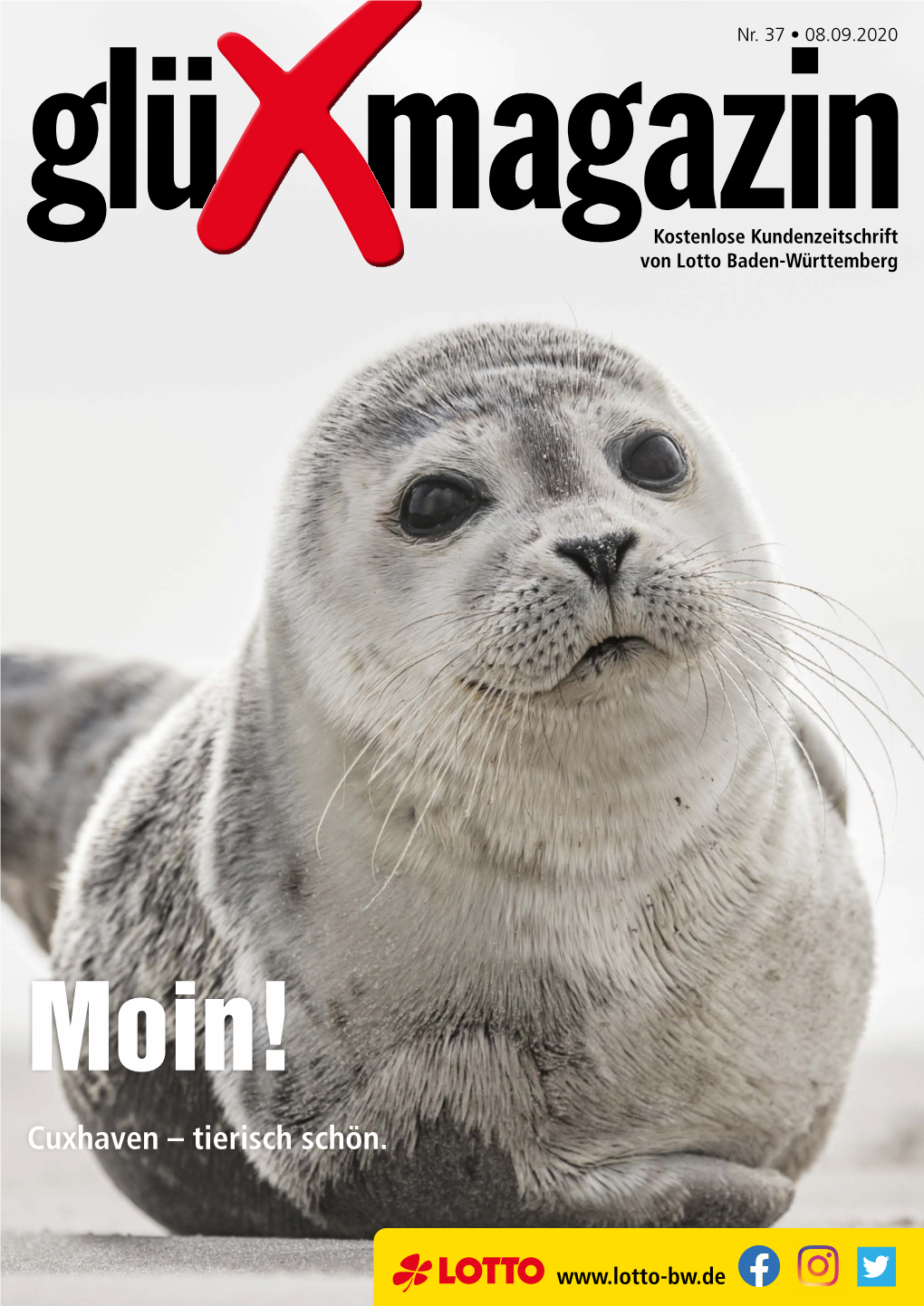 Glüxmagazin Nr. 37