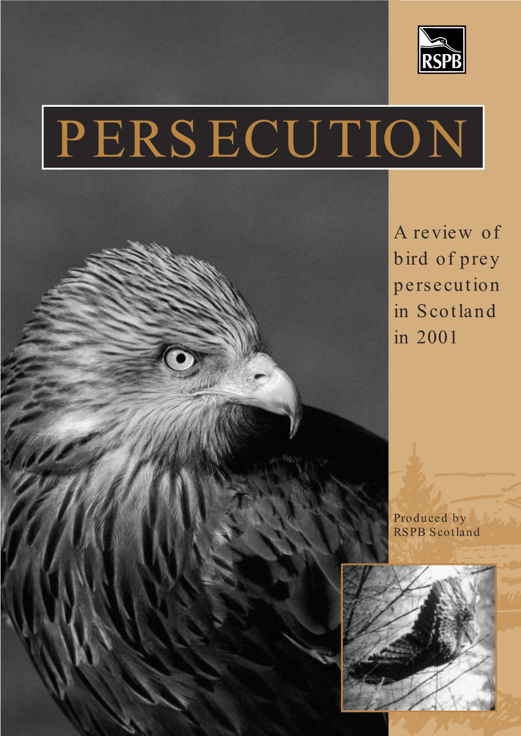 A Review of Bird of Prey Persecution in Scotland 2001