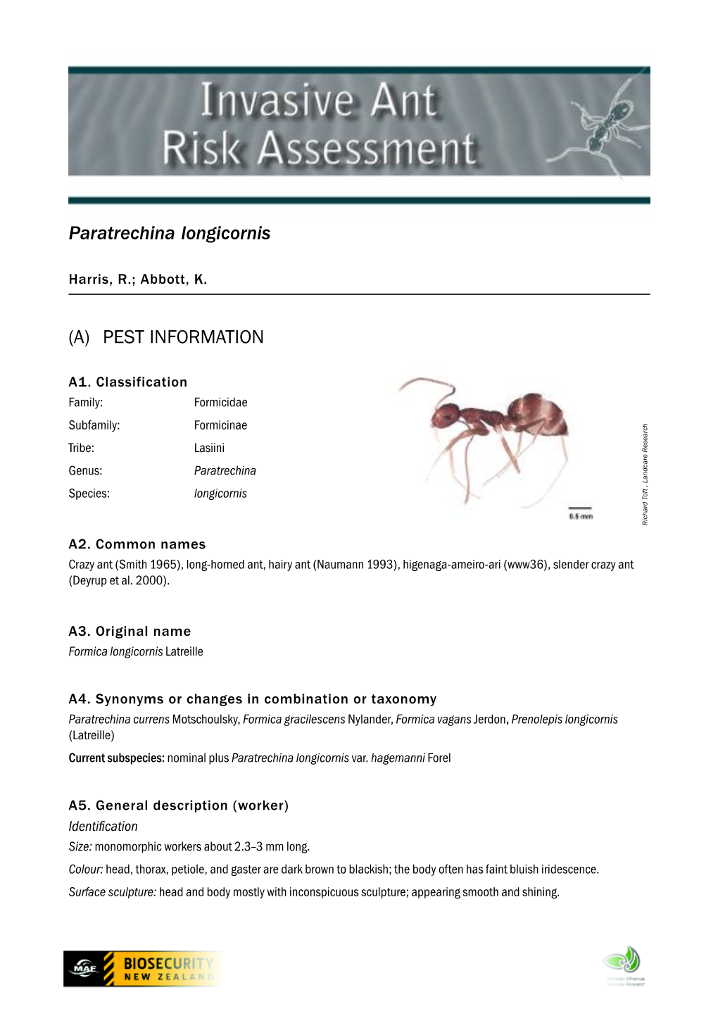 Paratrechina Longicornis (A) PEST INFORMATION