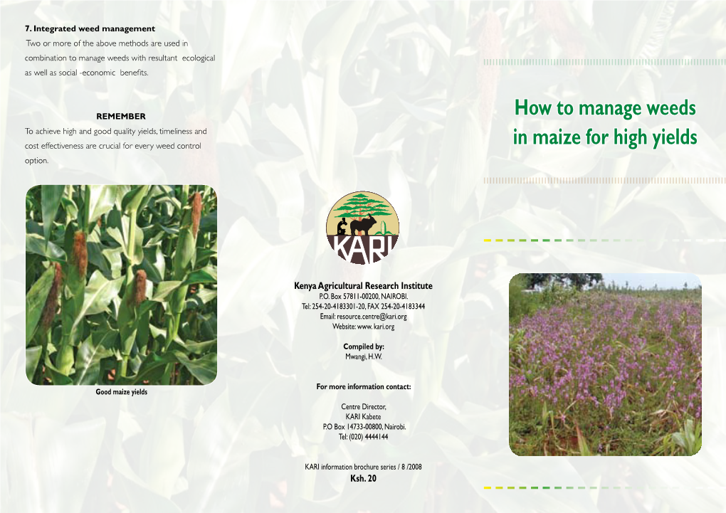 How to Manage Weeds in Maize for High Yields