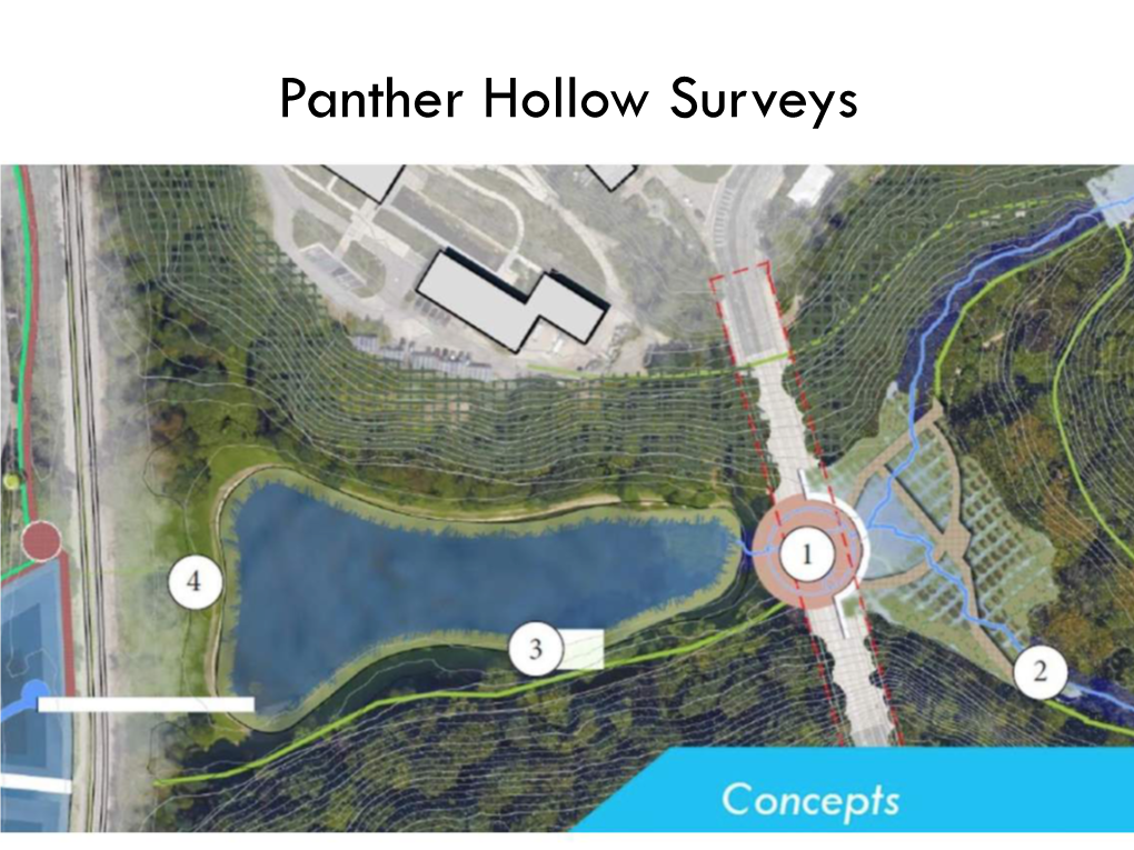 Panther Hollow Surveys What Do You See That Interests You?