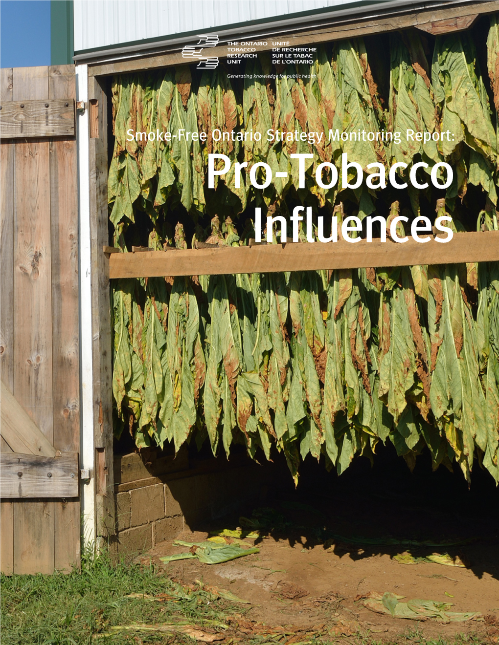 Smoke-Free Ontario Strategy Monitoring Report | Pro-Tobacco Influences