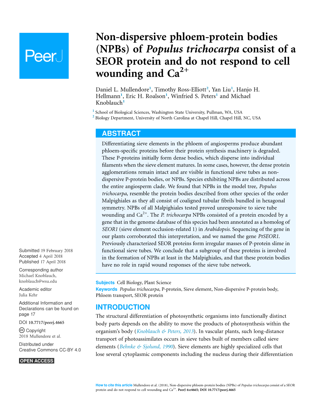 Non-Dispersive Phloem-Protein Bodies (Npbs) of Populus Trichocarpa Consist of a SEOR Protein and Do Not Respond to Cell Wounding and Ca2+