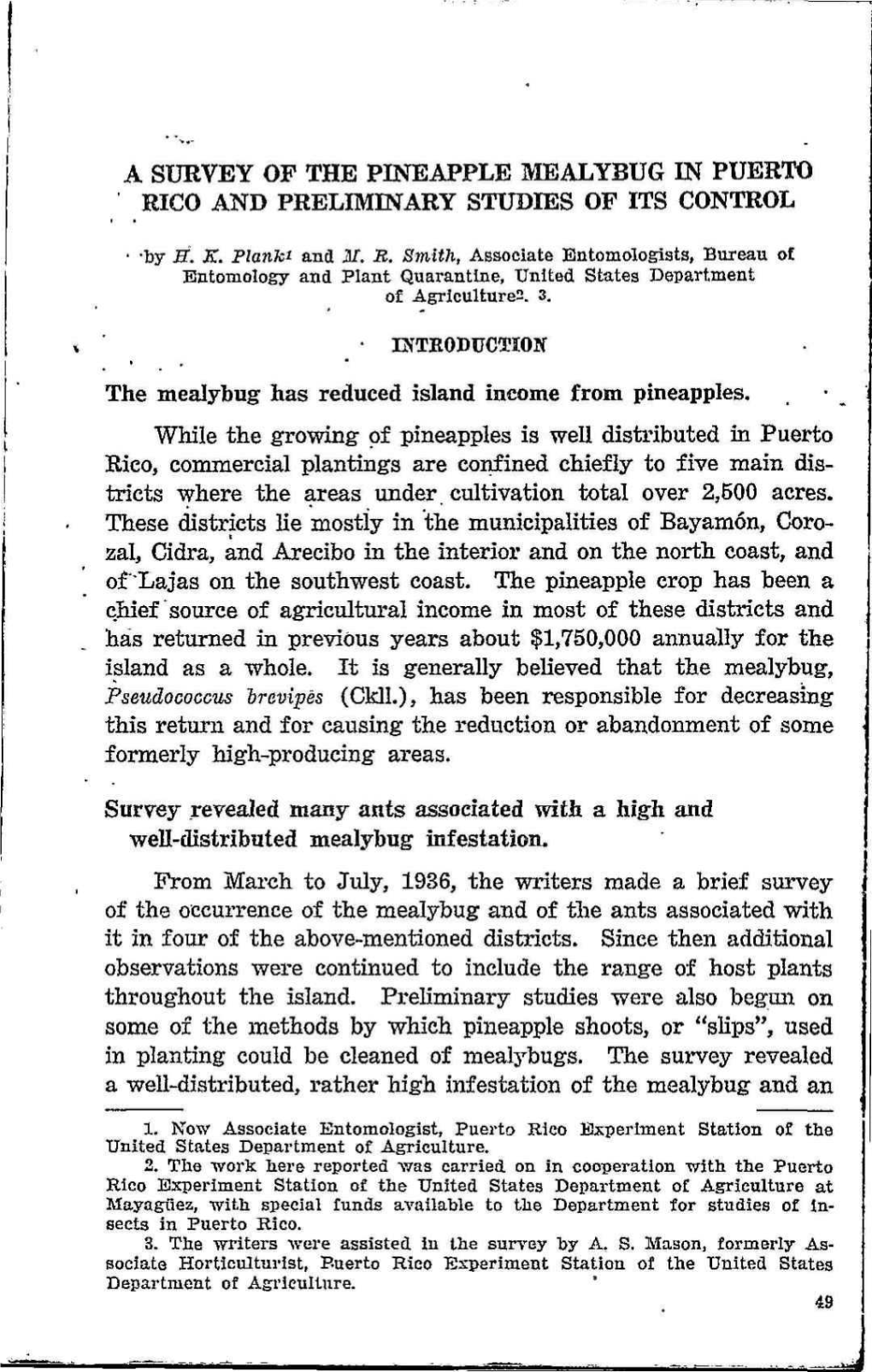 A Survey Op the Pineapple Mealybug in Puerto Rico and Preliminary Studies of Its Control