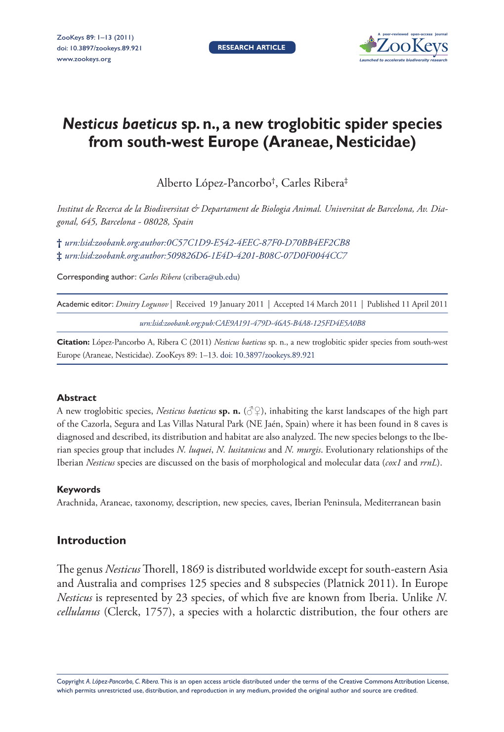 Nesticus Baeticus Sp. N., a New Troglobitic Spider Species from South-West Europe (Araneae, Nesticidae)