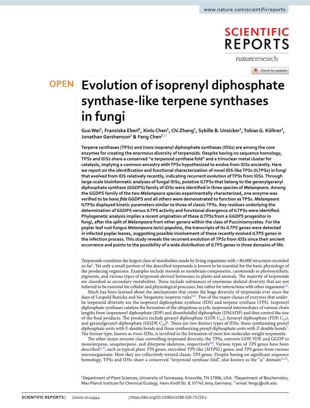 Evolution of Isoprenyl Diphosphate Synthase-Like Terpene