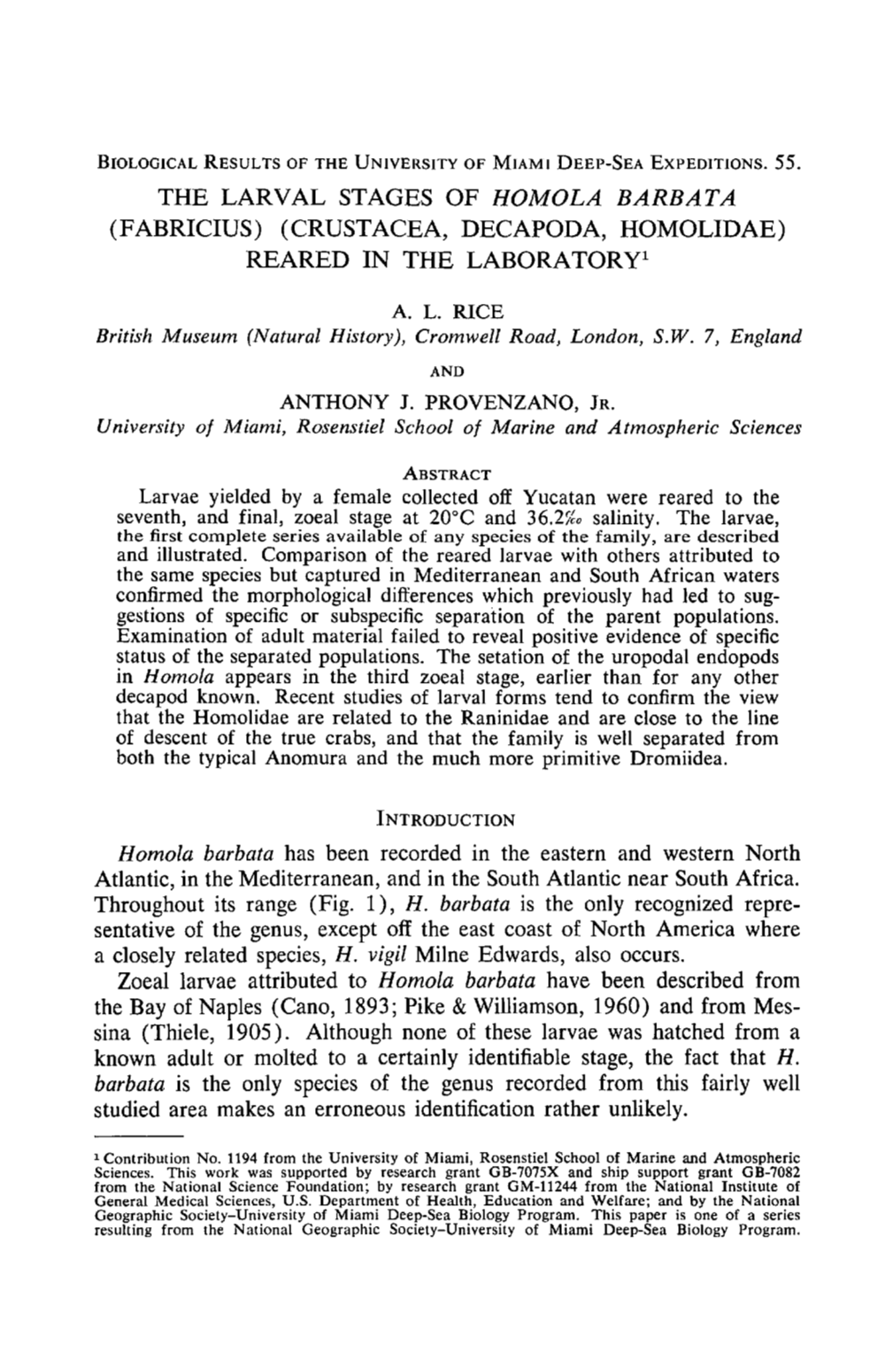 THE LARVAL STAGES of HOMOLA BARBATA (FABRICIUS) (CRUSTACEA, DECAPODA, HOMOLIDAE) REARED in the Laboratoryl