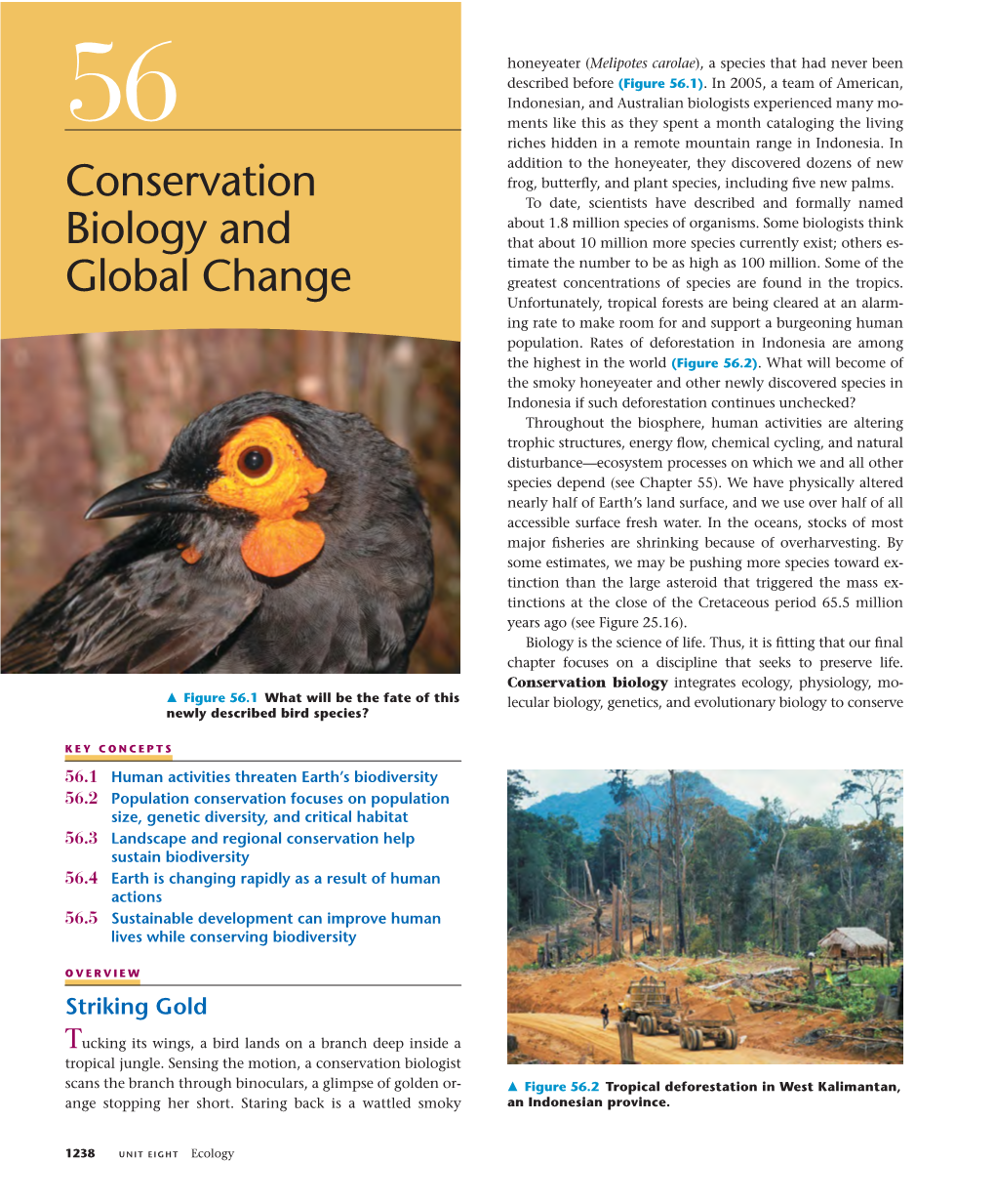 Conservation Biology and Global Change