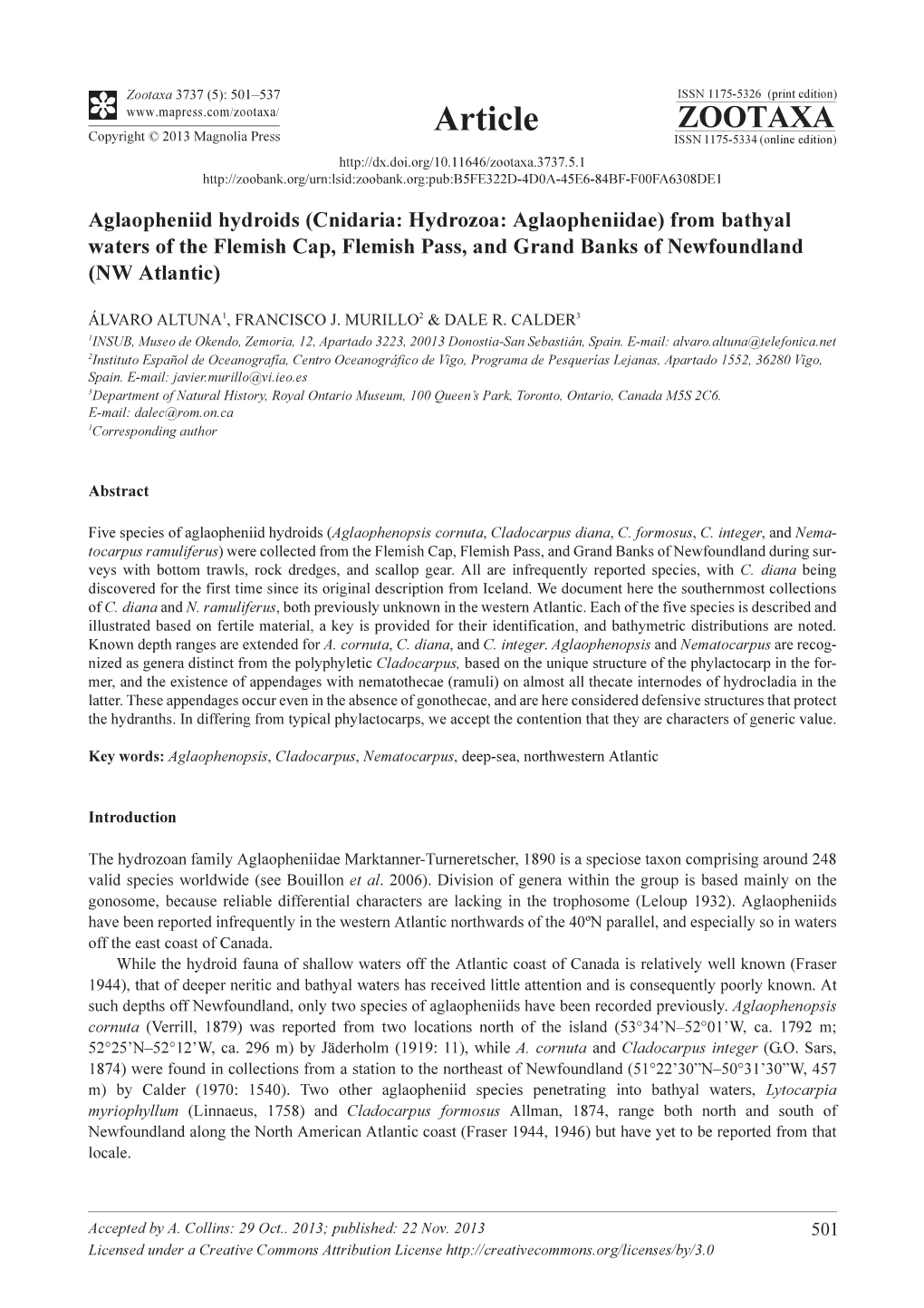 Aglaopheniid Hydroids (Cnidaria: Hydrozoa: Aglaopheniidae) from Bathyal Waters of the Flemish Cap, Flemish Pass, and Grand Banks of Newfoundland (NW Atlantic)