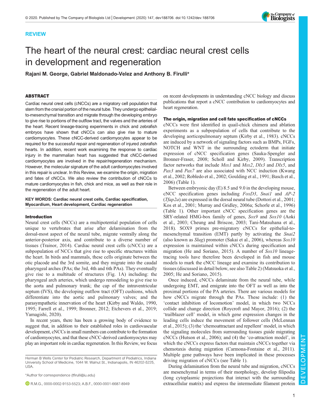 Cardiac Neural Crest Cells in Development and Regeneration Rajani M