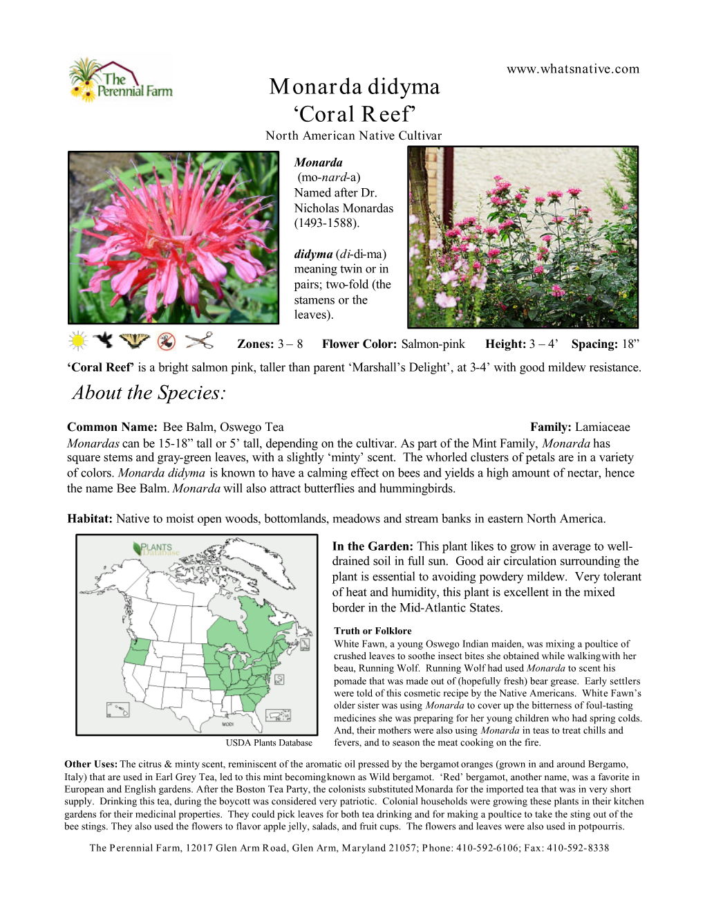 Monarda Didyma ‘Coral Reef’ North American Native Cultivar