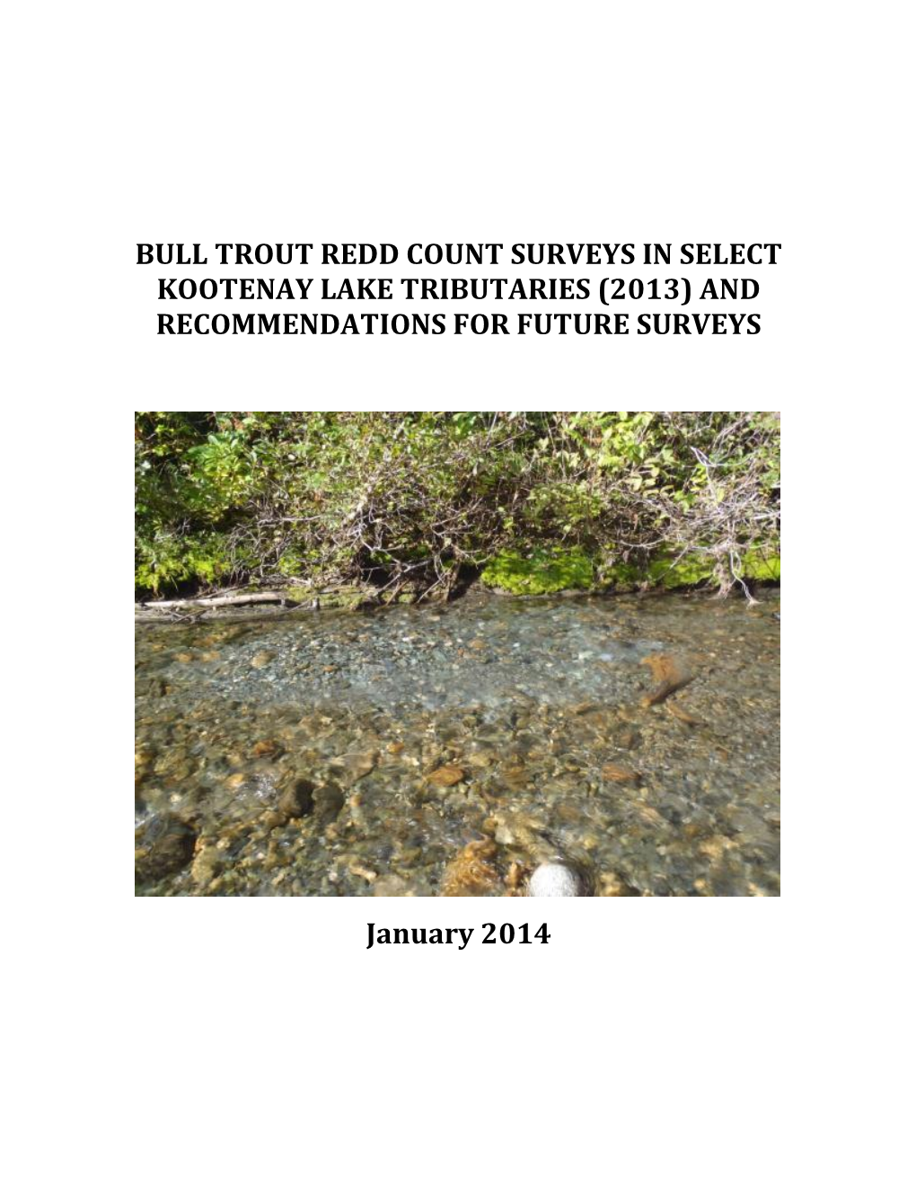 Kootenay Lake Bull Trout Monitoring