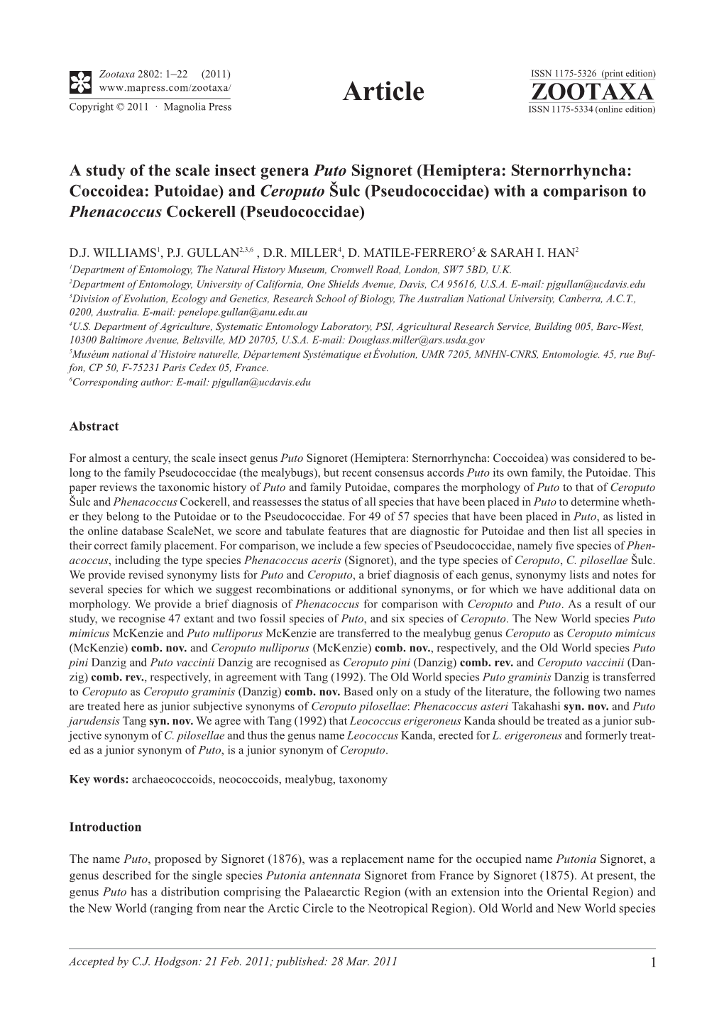 A Study of the Scale Insect Genera Puto Signoret (Hemiptera