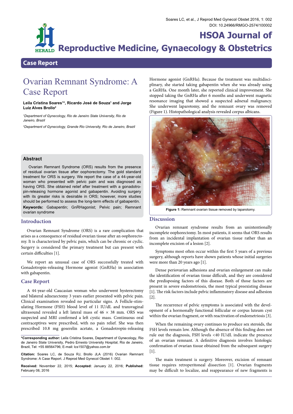 Ovarian Remnant Syndrome: a Case Report