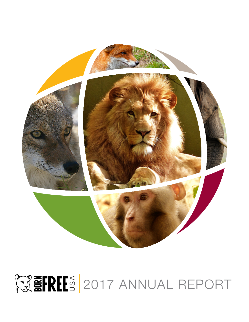 2017 Annual Report