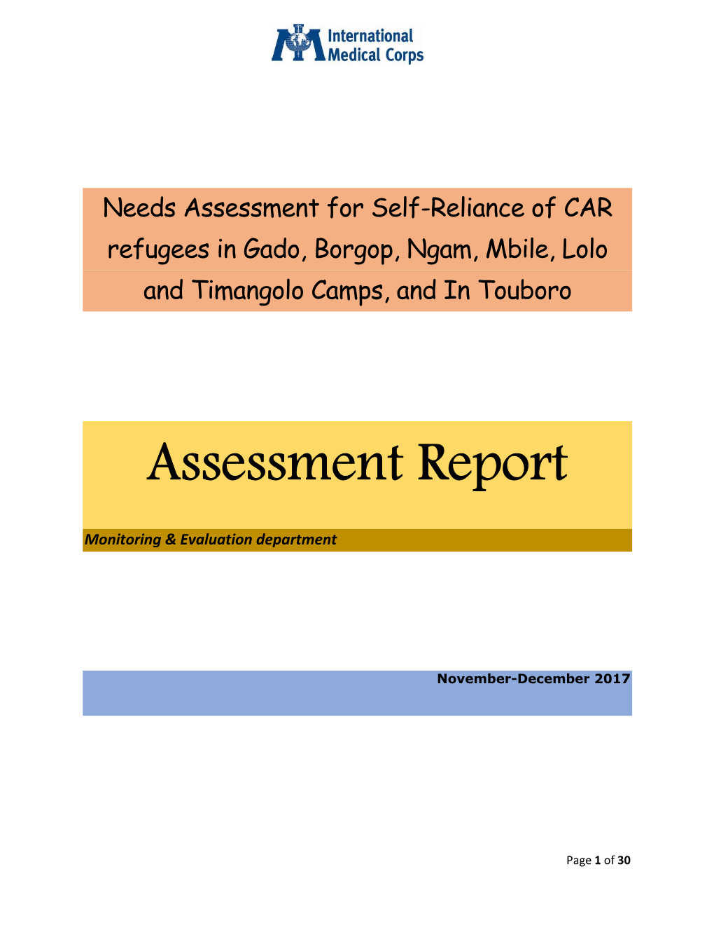 Assessment Report