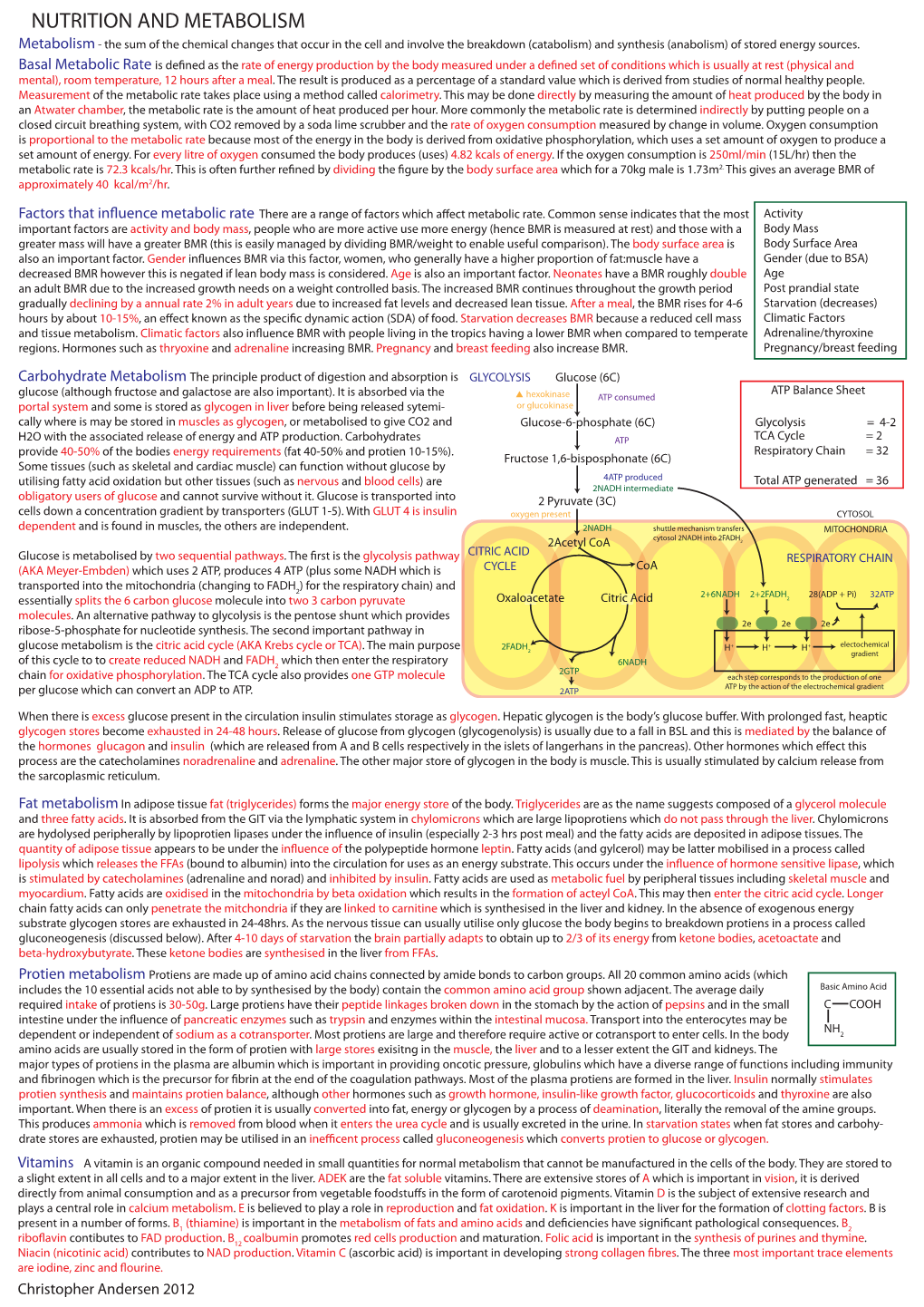 Nutrition and Metabolism