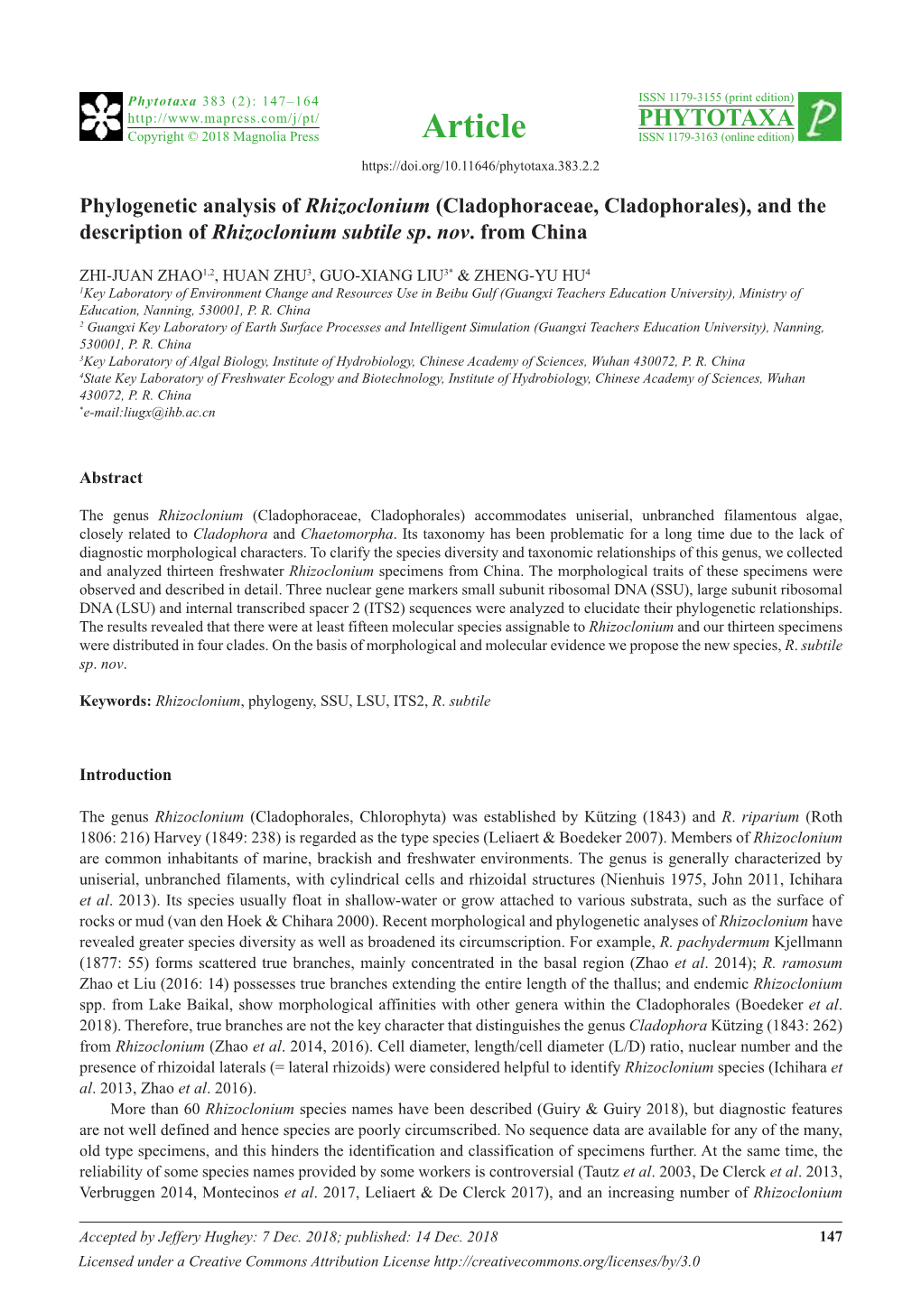 Phylogenetic Analysis of Rhizoclonium (Cladophoraceae, Cladophorales), and the Description of Rhizoclonium Subtile Sp