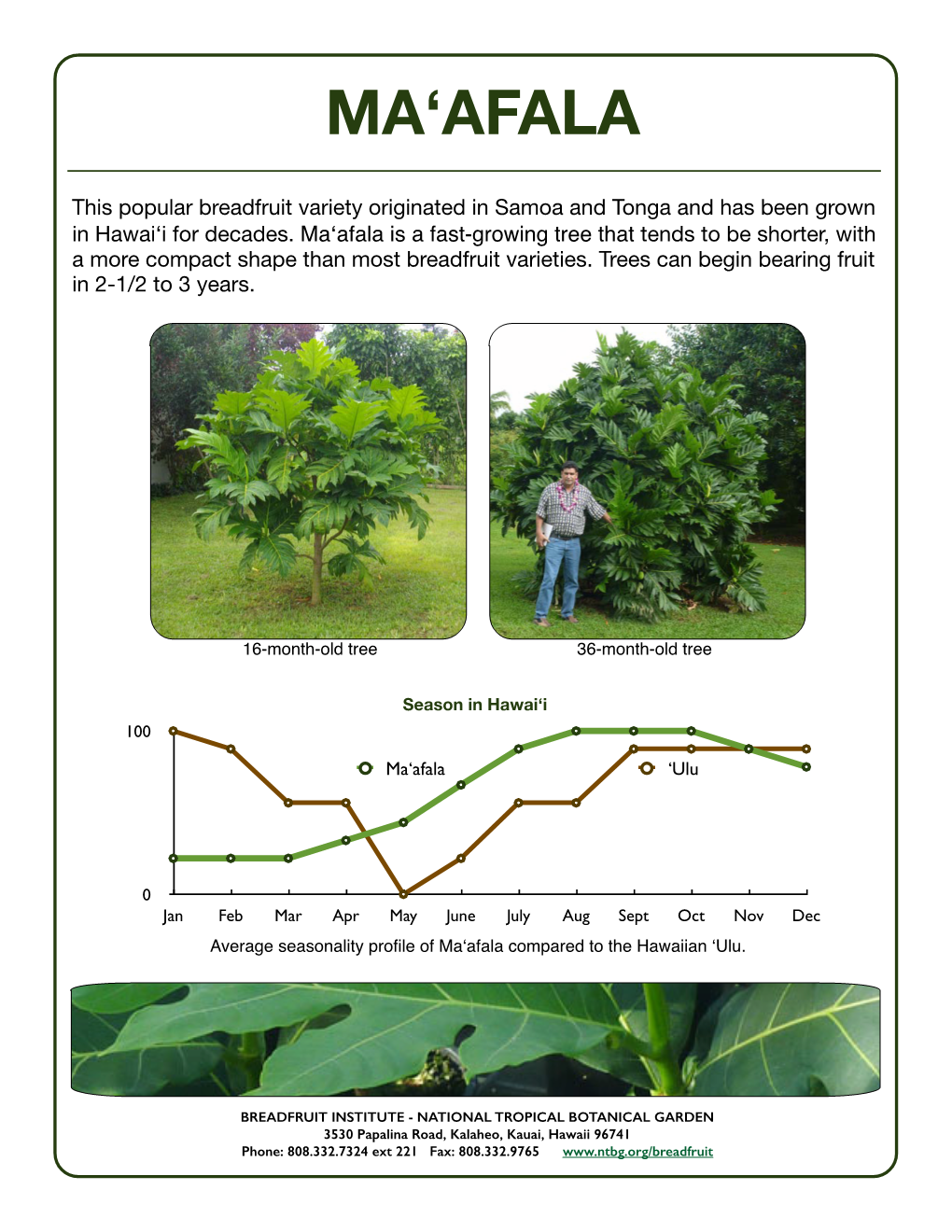 Maafala Fact Sheet