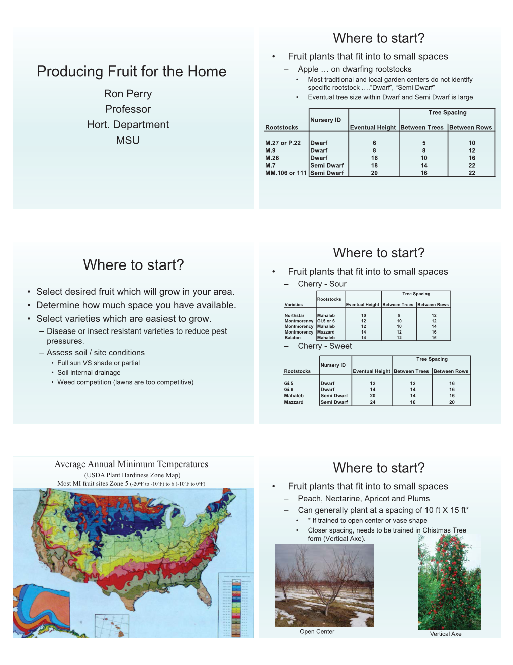 Planting and Aftercare of New Trees