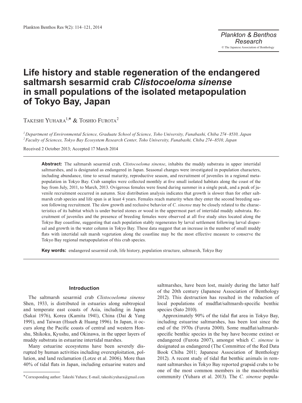 Life History and Stable Regeneration of the Endangered Saltmarsh