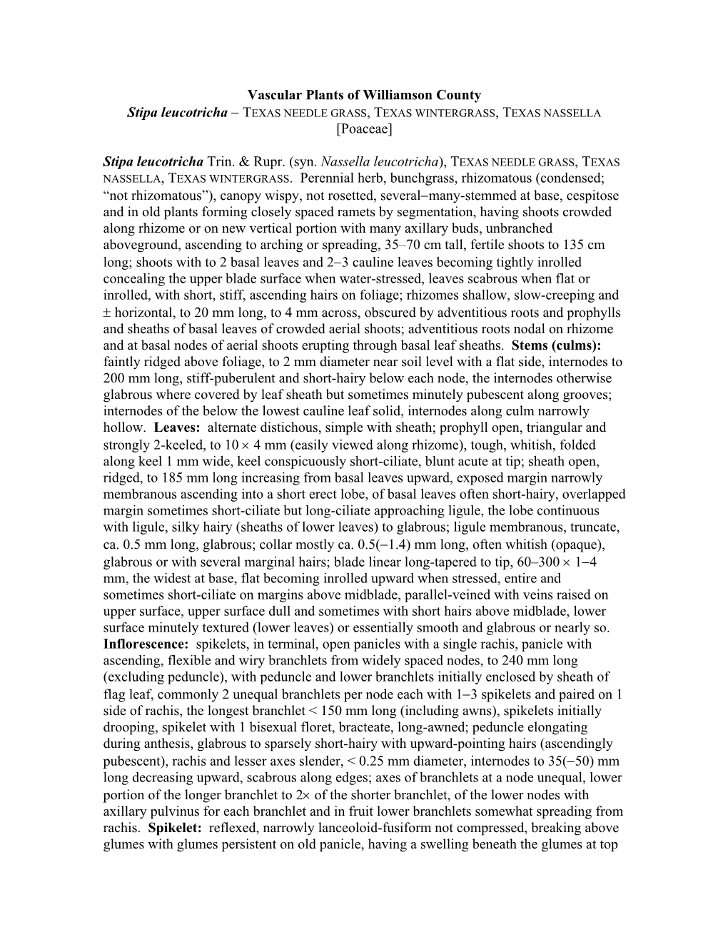 Vascular Plants of Williamson County Stipa Leucotricha − TEXAS NEEDLE GRASS, TEXAS WINTERGRASS, TEXAS NASSELLA [Poaceae]