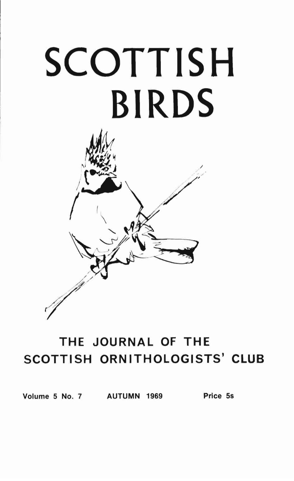 Scottish Birds