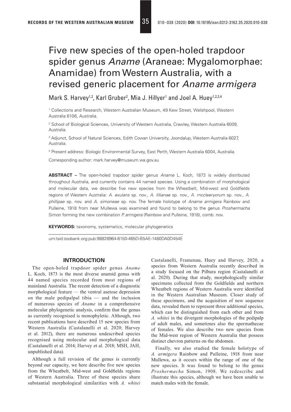 Five New Species of the Open-Holed Trapdoor Spider Genus Aname