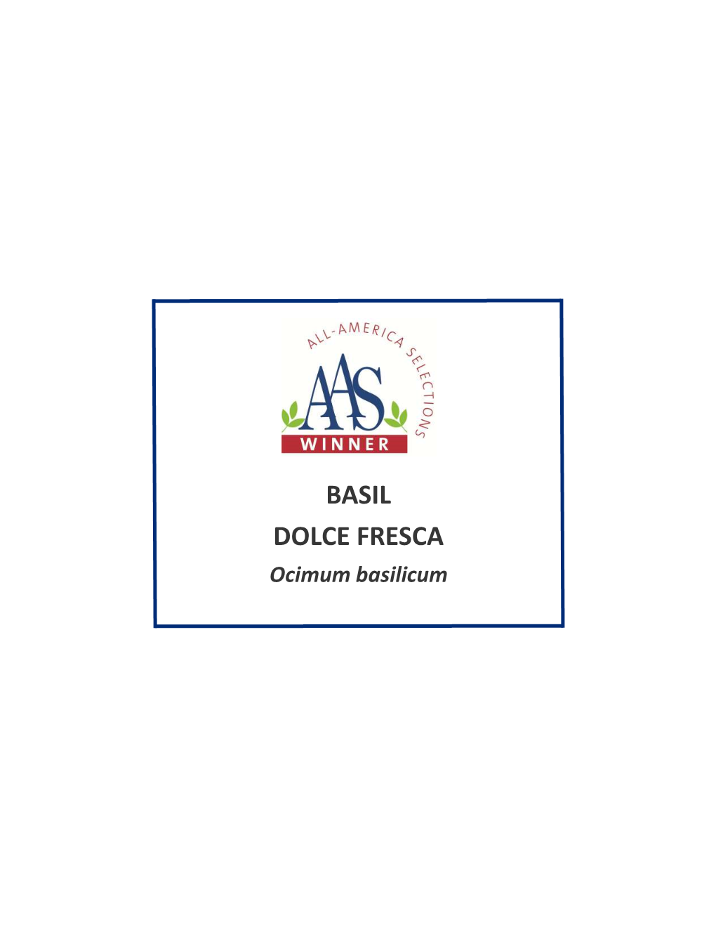 Basil Dolce Fresca