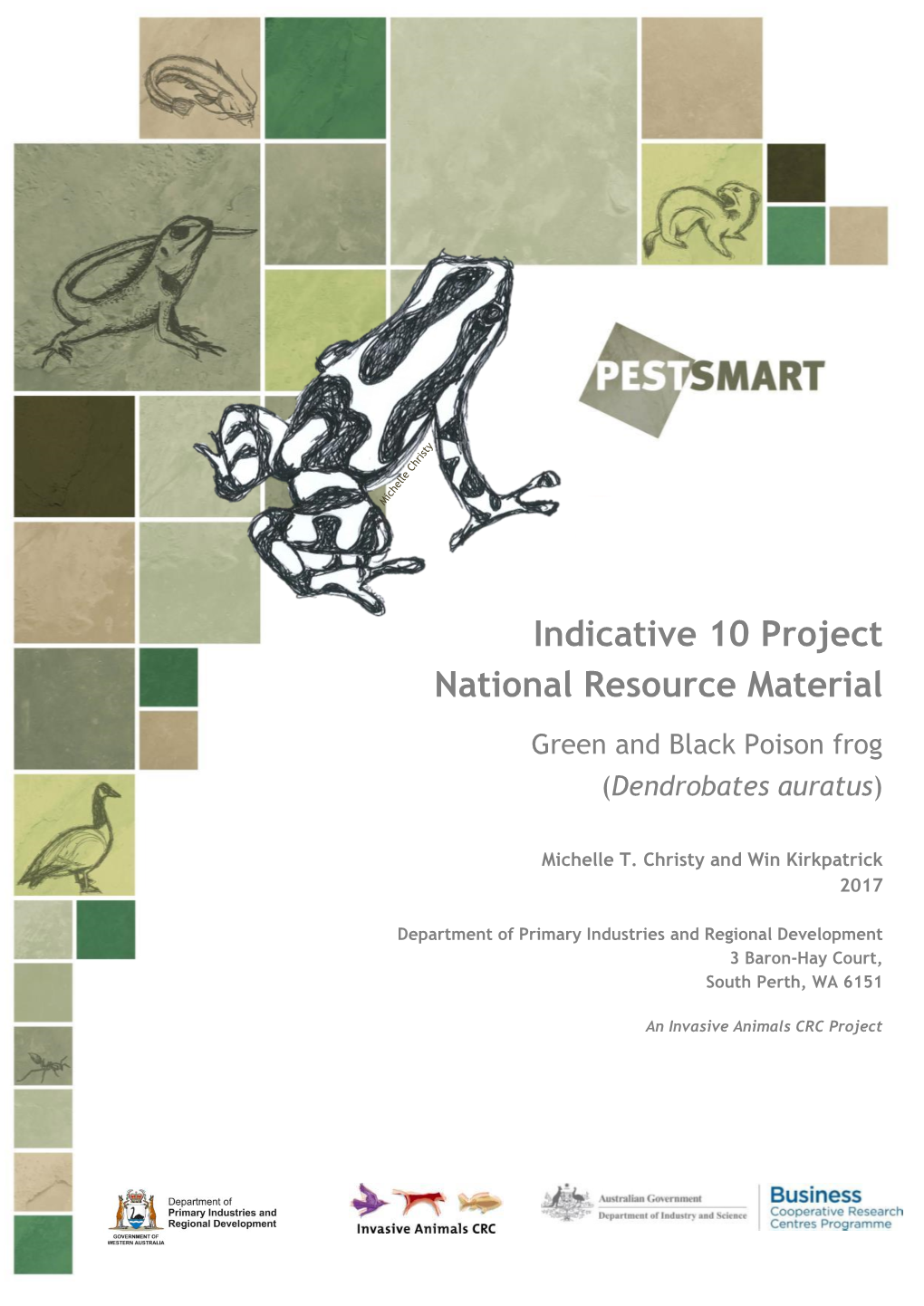 National Resource Material Green and Black Poison Frog (Dendrobates Auratus)