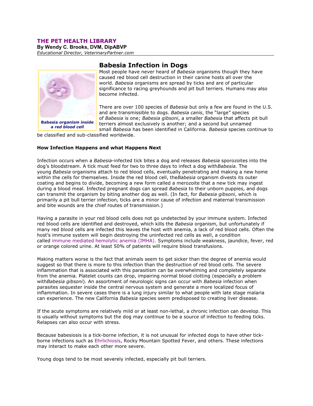 Babesia Infection in Dogs