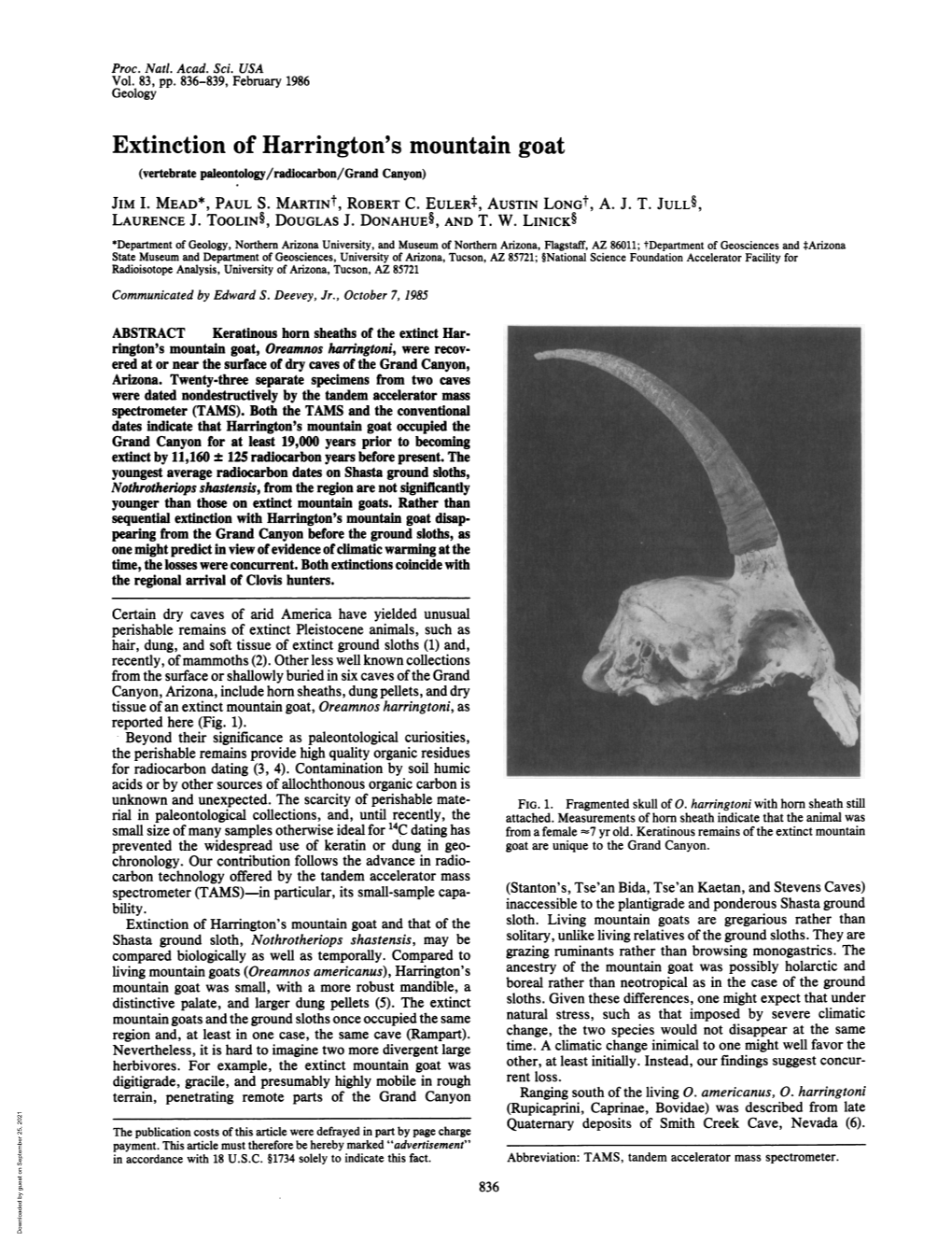 Extinction of Harrington's Mountain Goat (Vertebrate Paleontology/Radiocarbon/Grand Canyon) JIM I