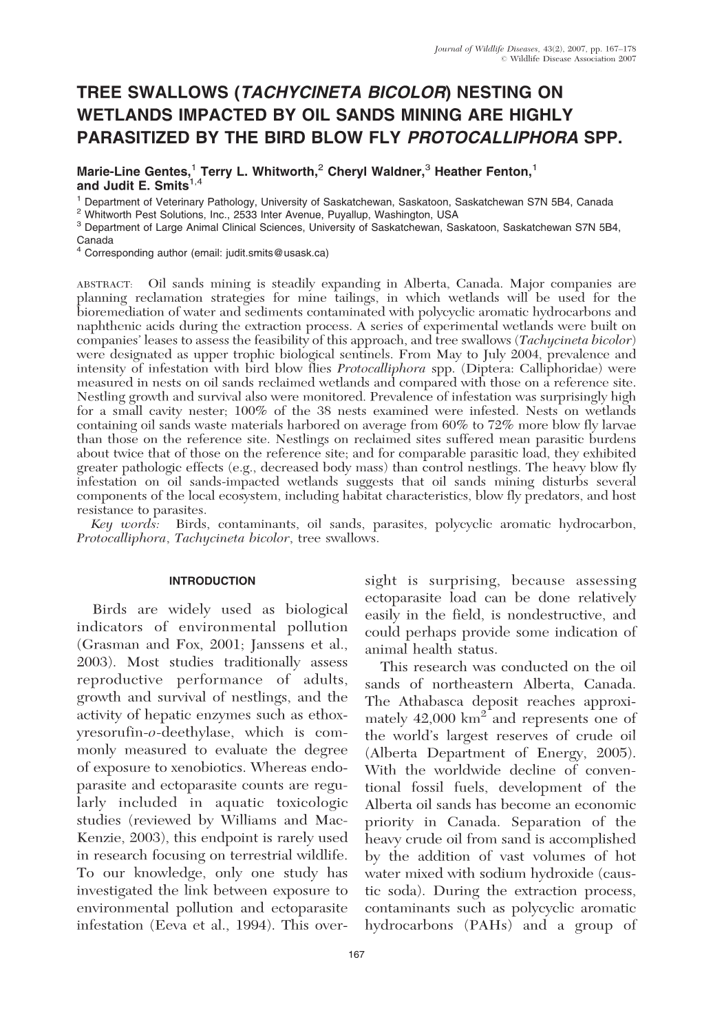 Tree Swallows (Tachycineta Bicolor) Nesting on Wetlands Impacted by Oil Sands Mining Are Highly Parasitized by the Bird Blow Fly Protocalliphora Spp