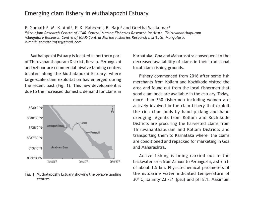 Emerging Clam Fishery in Muthalapozhi Estuary