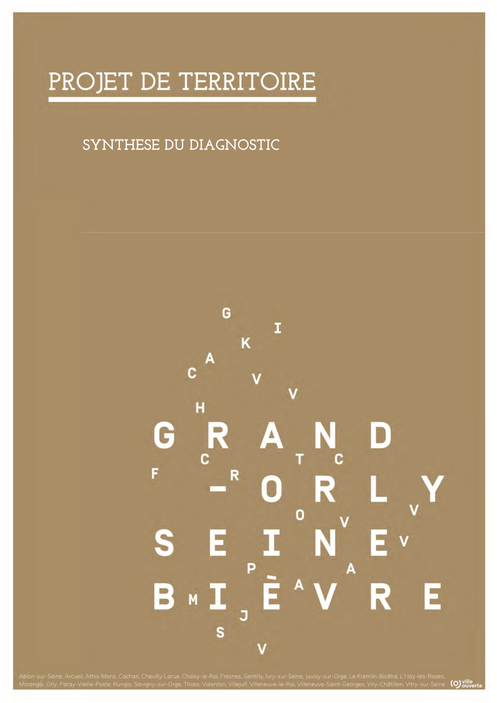 Synthese Du Diagnostic