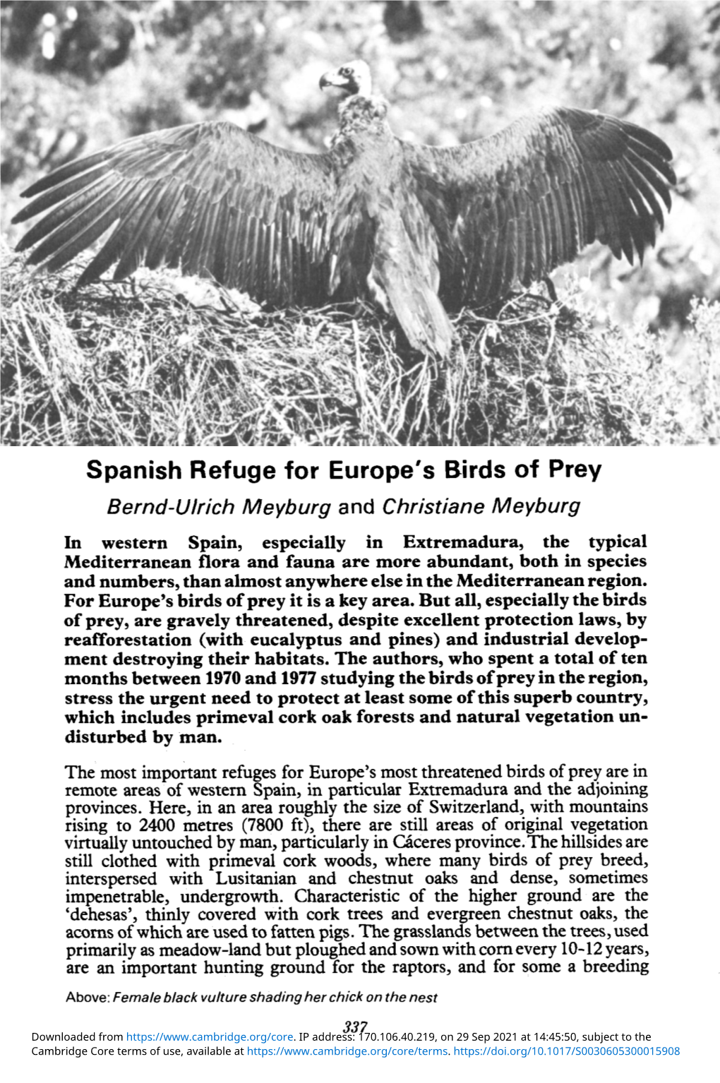 Spanish Refuge for Europe's Birds of Prey