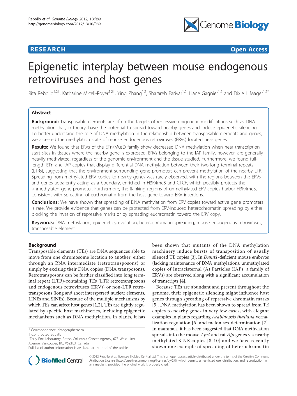 Epigenetic Interplay Between Mouse Endogenous